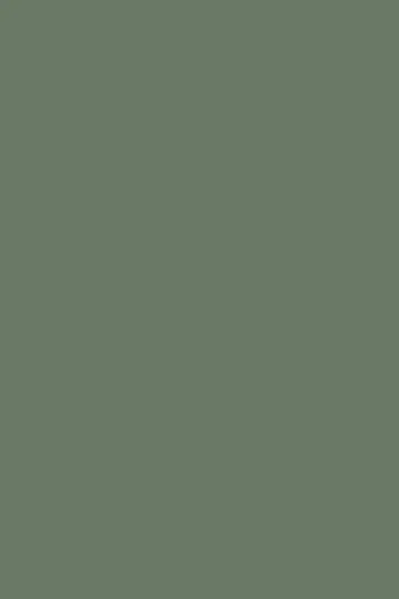 K521 Smoke Green (Dymiona Zieleń), dekor Kronospan, seria Color