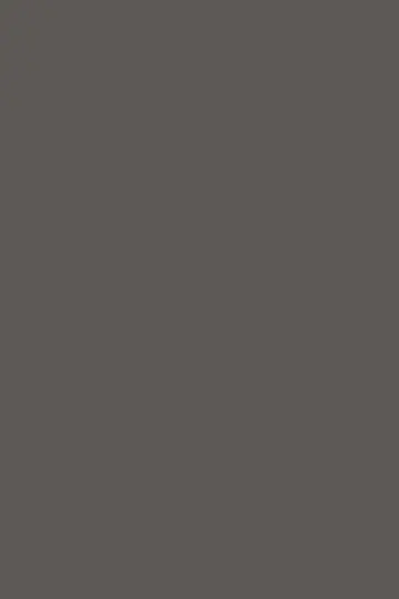 K6299 Cobalt Grey (Kobalt Szary), dekor Kronospan, seria Color