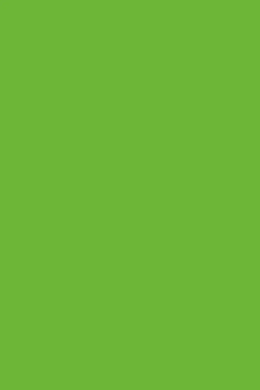 K7190 Mamba Green (Zieleń Mamba), dekor Kronospan, seria Color