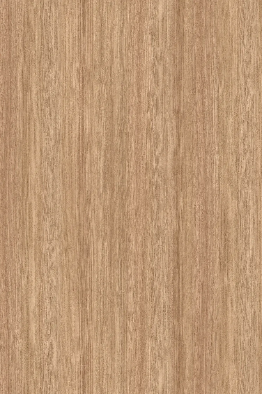 5501 Slavonia Oak (Dąb Sławonia), dekor Kronospan, seria Contempo