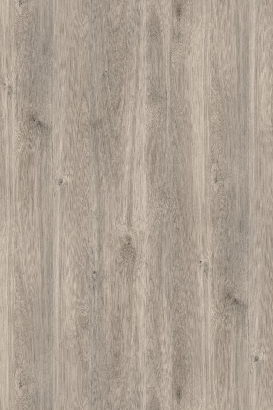 K357 Greige Castello Oak, dekor Kronospan, seria Contempo