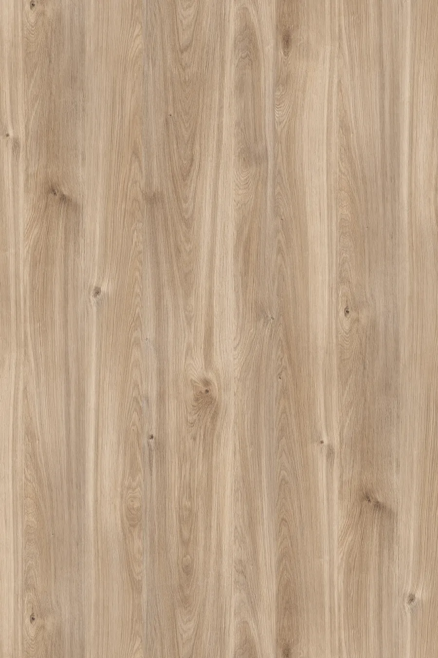 K358 Honey Castello Oak, dekor Kronospan, seria Contempo