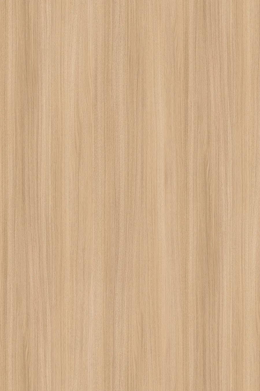 K543 Sand Barbera Oak, dekor Kronospan, seria Contempo