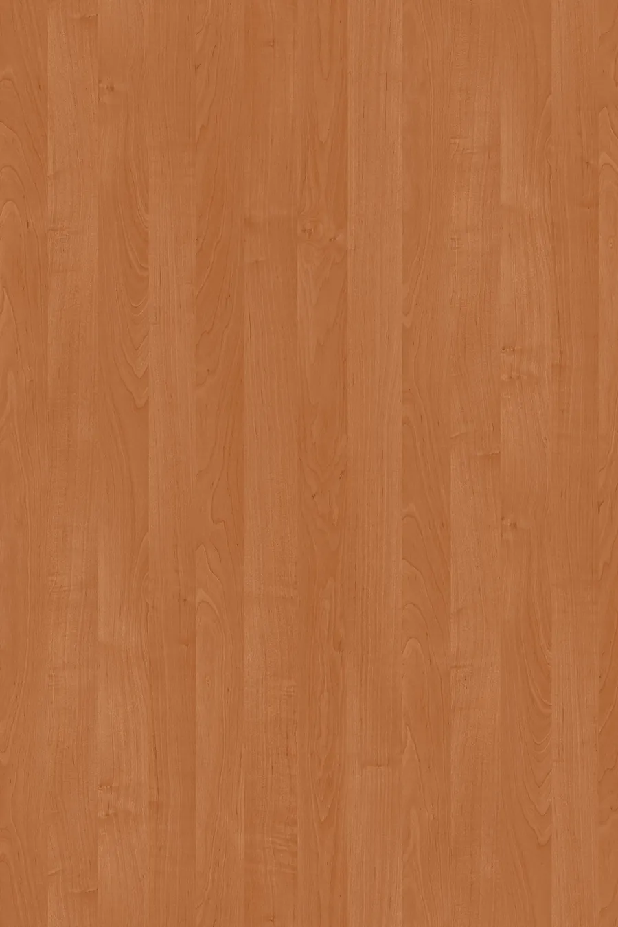 1912 Alder (Olcha), dekor Kronospan, seria Standard