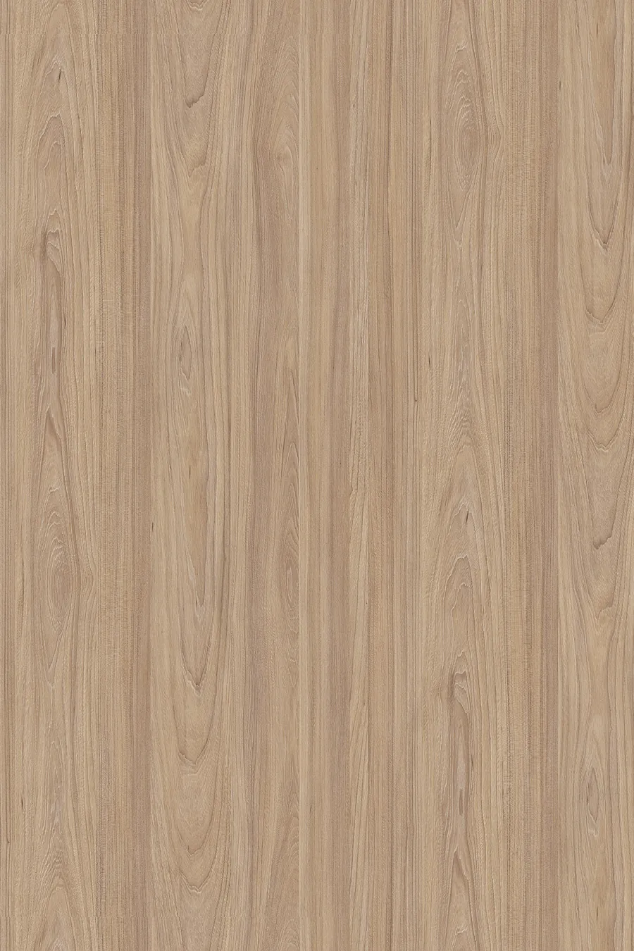 5500 Natural Noble Elm, dekor Kronospan, seria Standard