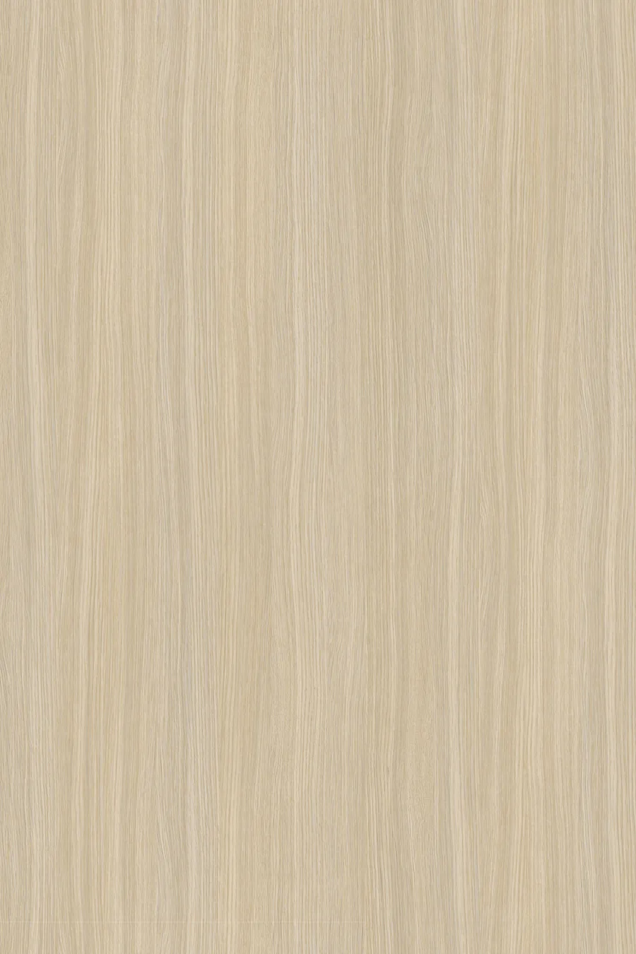 8921 Ferrara Oak (Dąb Ferrara), dekor Kronospan, seria Standard