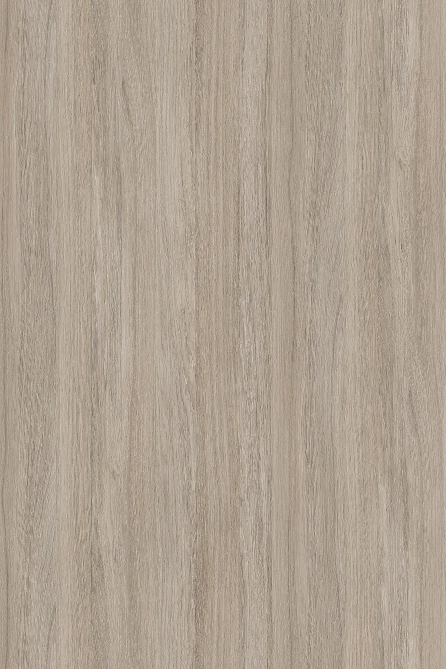 K005 Oyster Urban Oak (Dąb Urban Oyster), dekor Kronospan, seria Standard