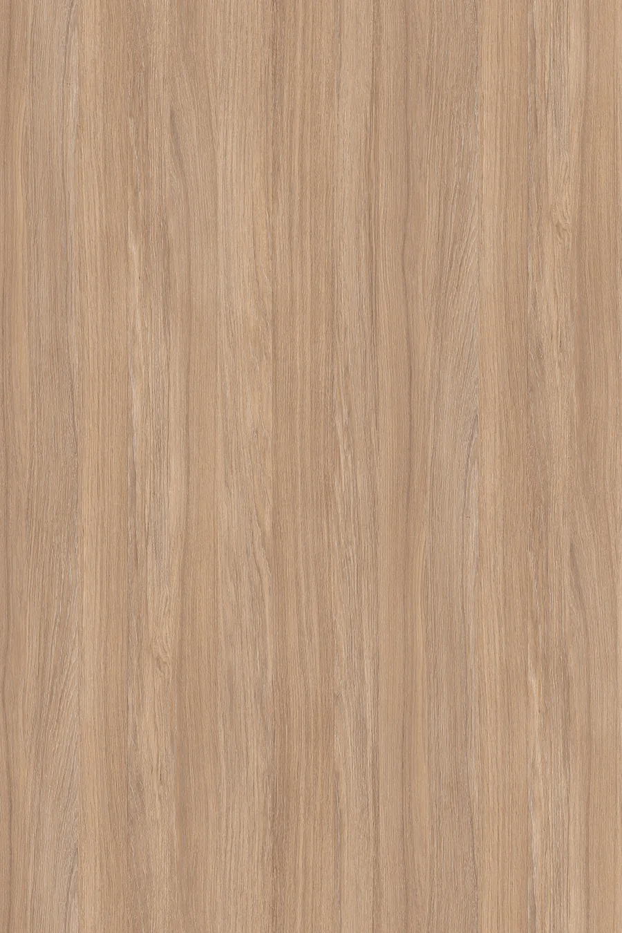 K006 Amber Urban Oak (Dąb Urban Bursztynowy), dekor Kronospan, seria Standard