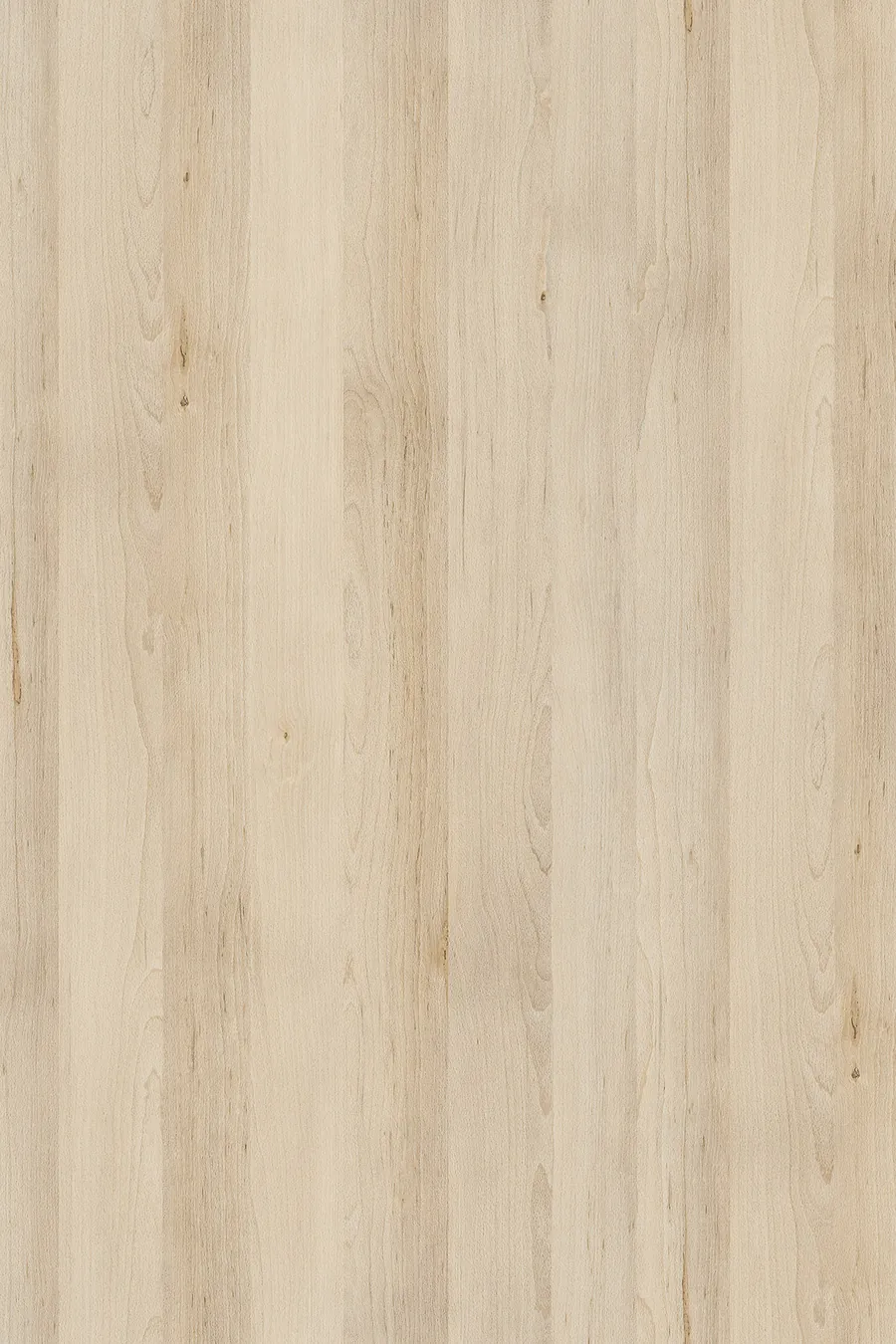 K012 Pearl Artisan Beech (Buk Artisan Perłowy), dekor Kronospan, seria Standard