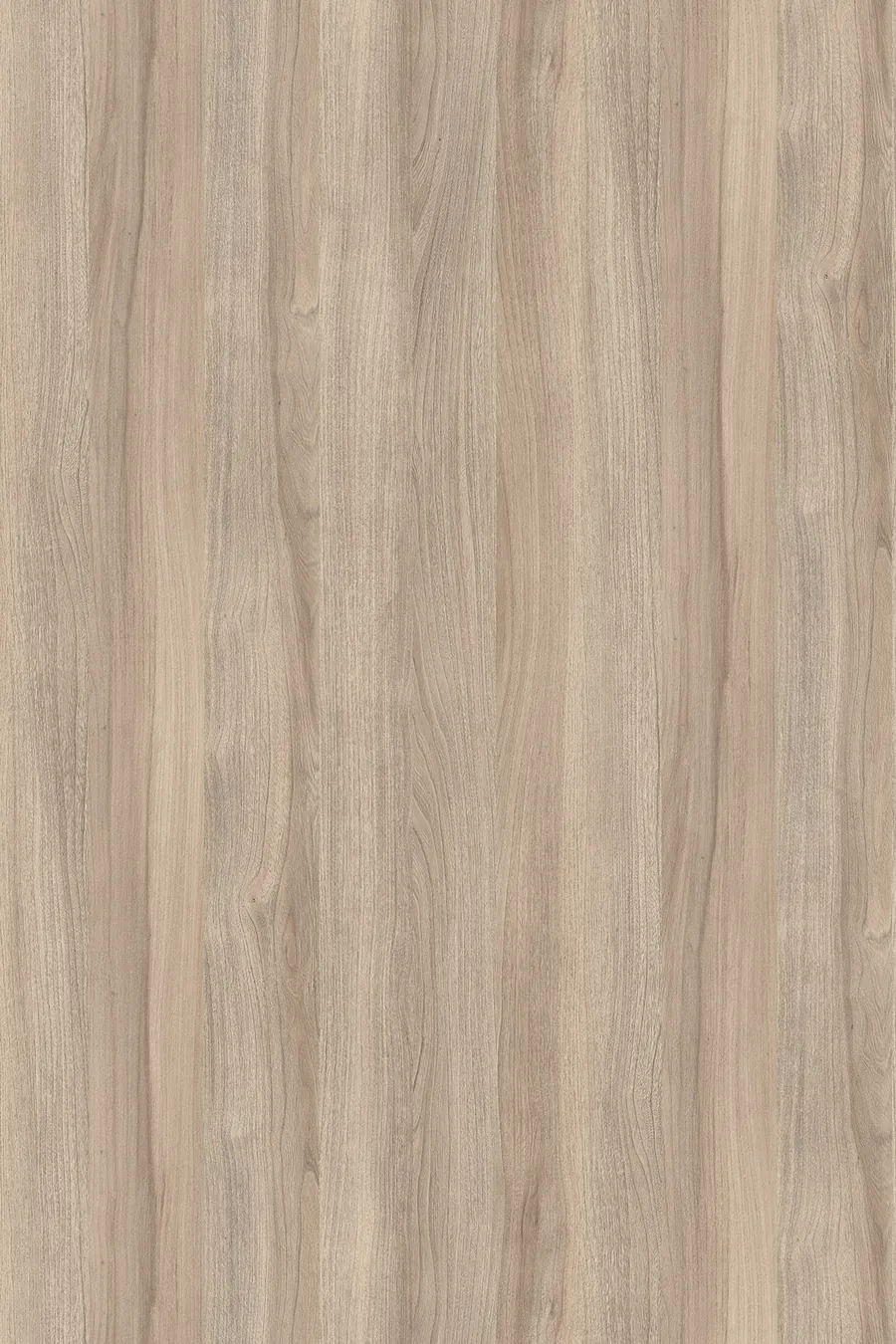 K017 Blonde Liberty Elm (Wiąz Liberty Jasny), dekor Kronospan, seria Standard