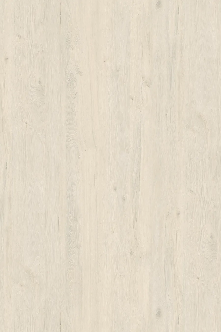 K080 White Coastland Oak (Dąb Coastland Biały), dekor Kronospan, seria Standard