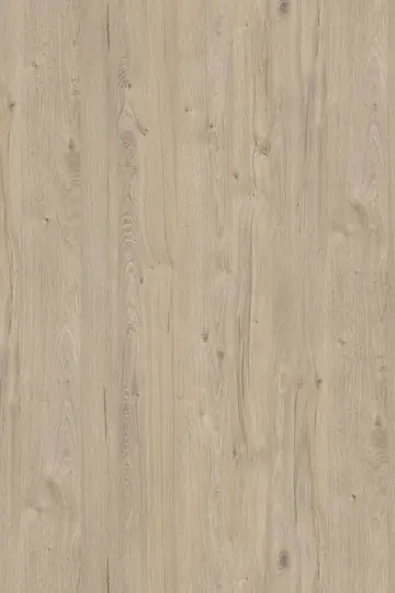 K081 Satin Coastland Oak (Dąb Coastland Szampański), dekor Kronospan, seria Standard