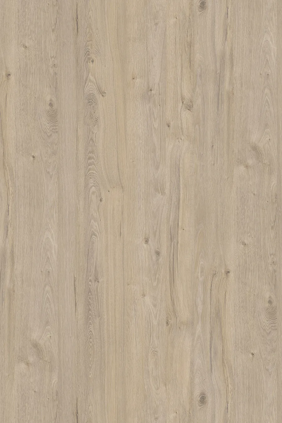 K081 Satin Coastland Oak (Dąb Coastland Szampański), dekor Kronospan, seria Standard