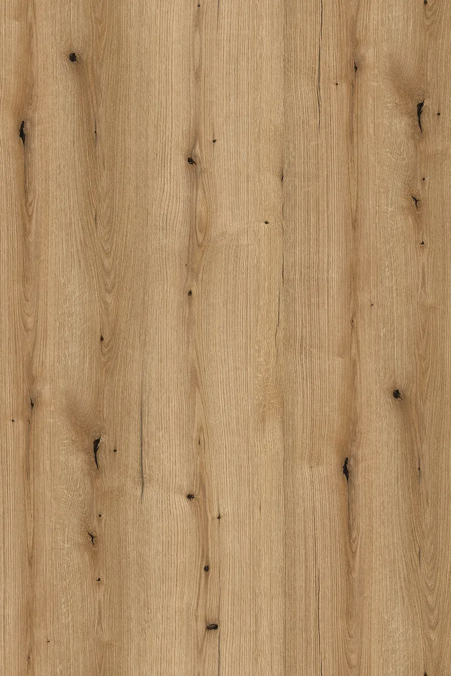 K365 Coast Evoke Oak, dekor Kronospan, seria Standard