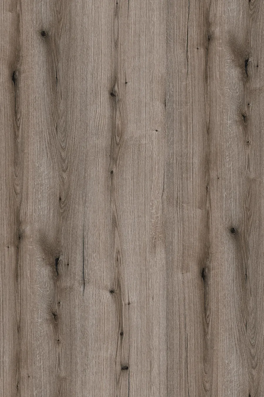 K366 Fossil Evoke Oak, dekor Kronospan, seria Standard